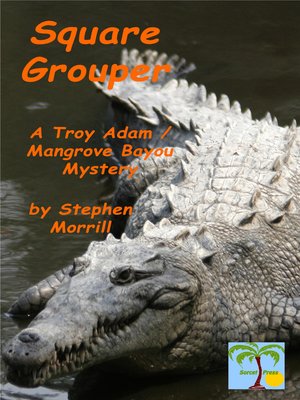 cover image of Square Grouper